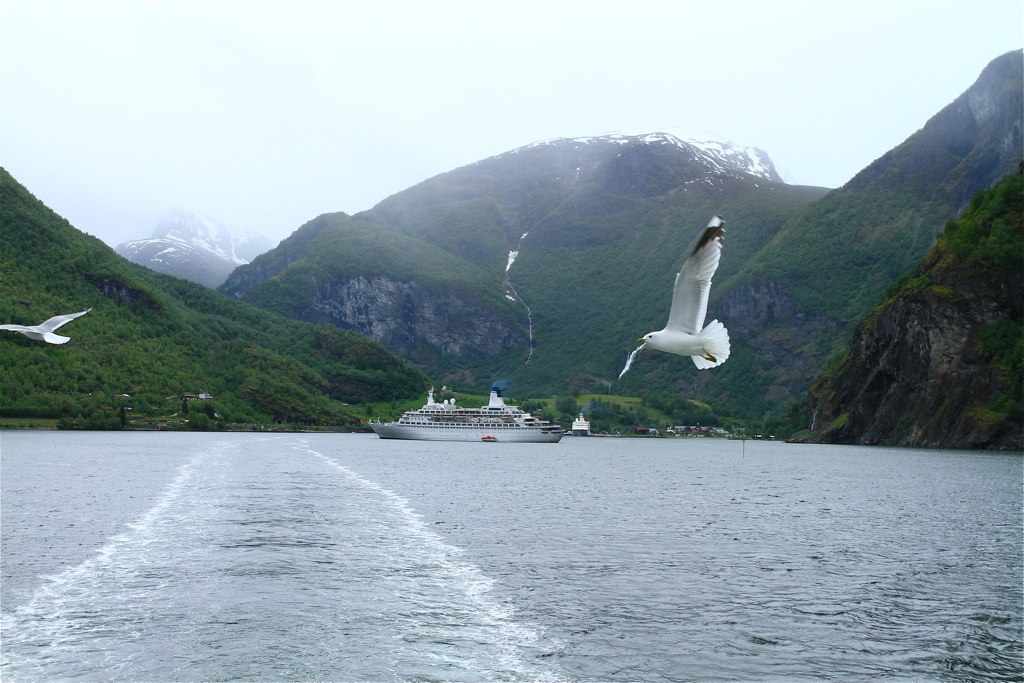 Fjord Cruise on Naeroyfjord